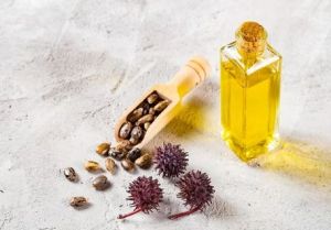 Liquid Soya Lecithin supplier in India - Santosh Polymers