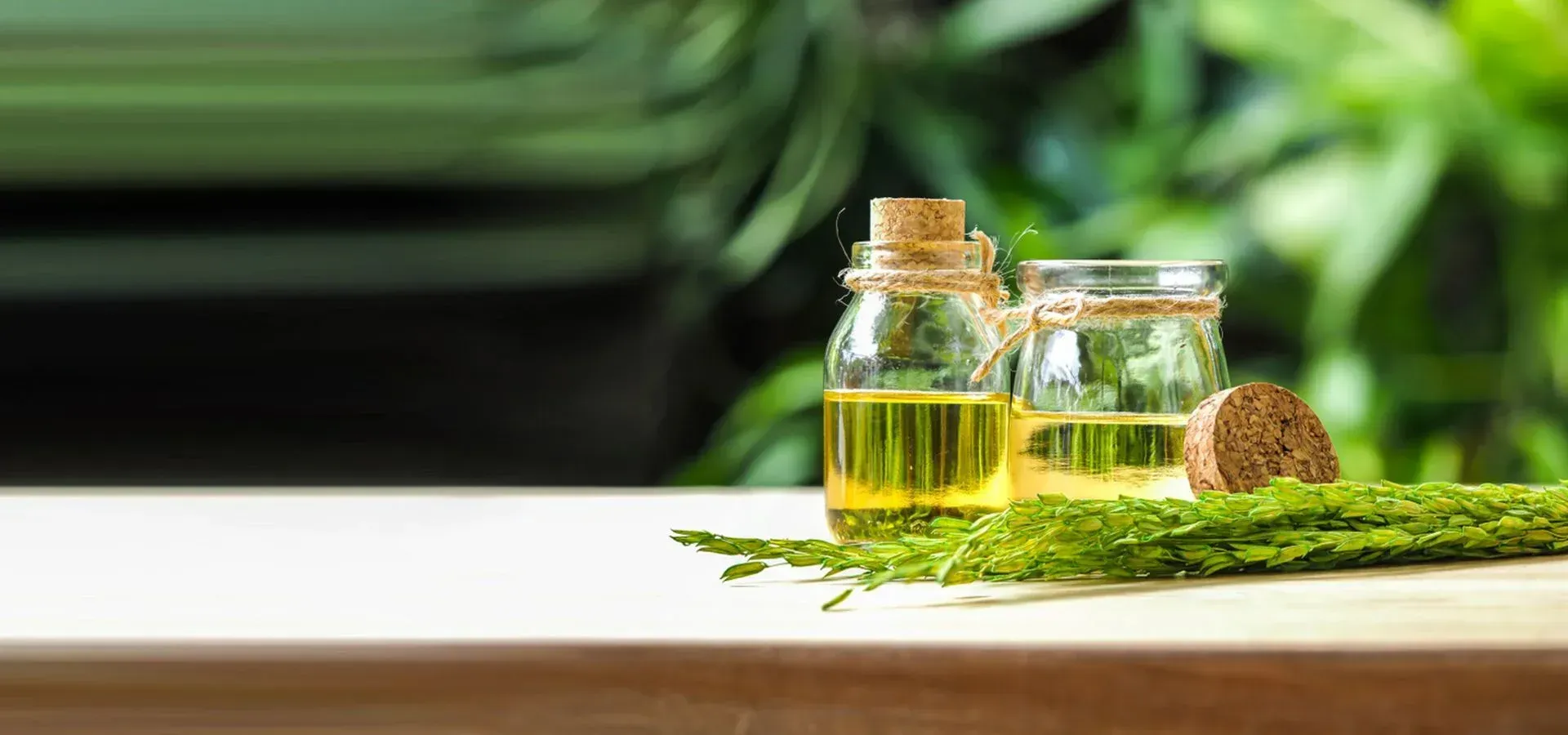 Rice Bran Oil Banner
